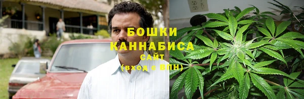 амф Нея