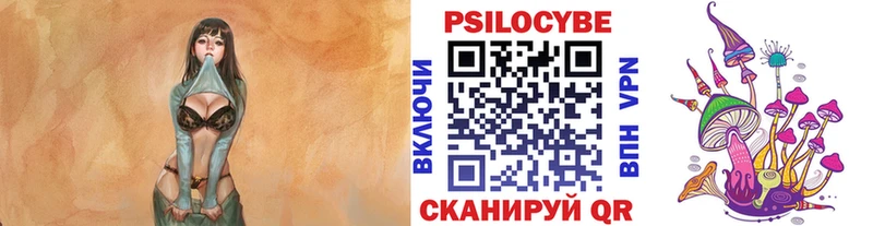 магазин продажи   omg ссылки  Псилоцибиновые грибы мицелий  Мурманск 